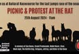 Coalition for the Protection of Racehorses