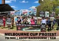 Coalition for the Protection of Racehorses