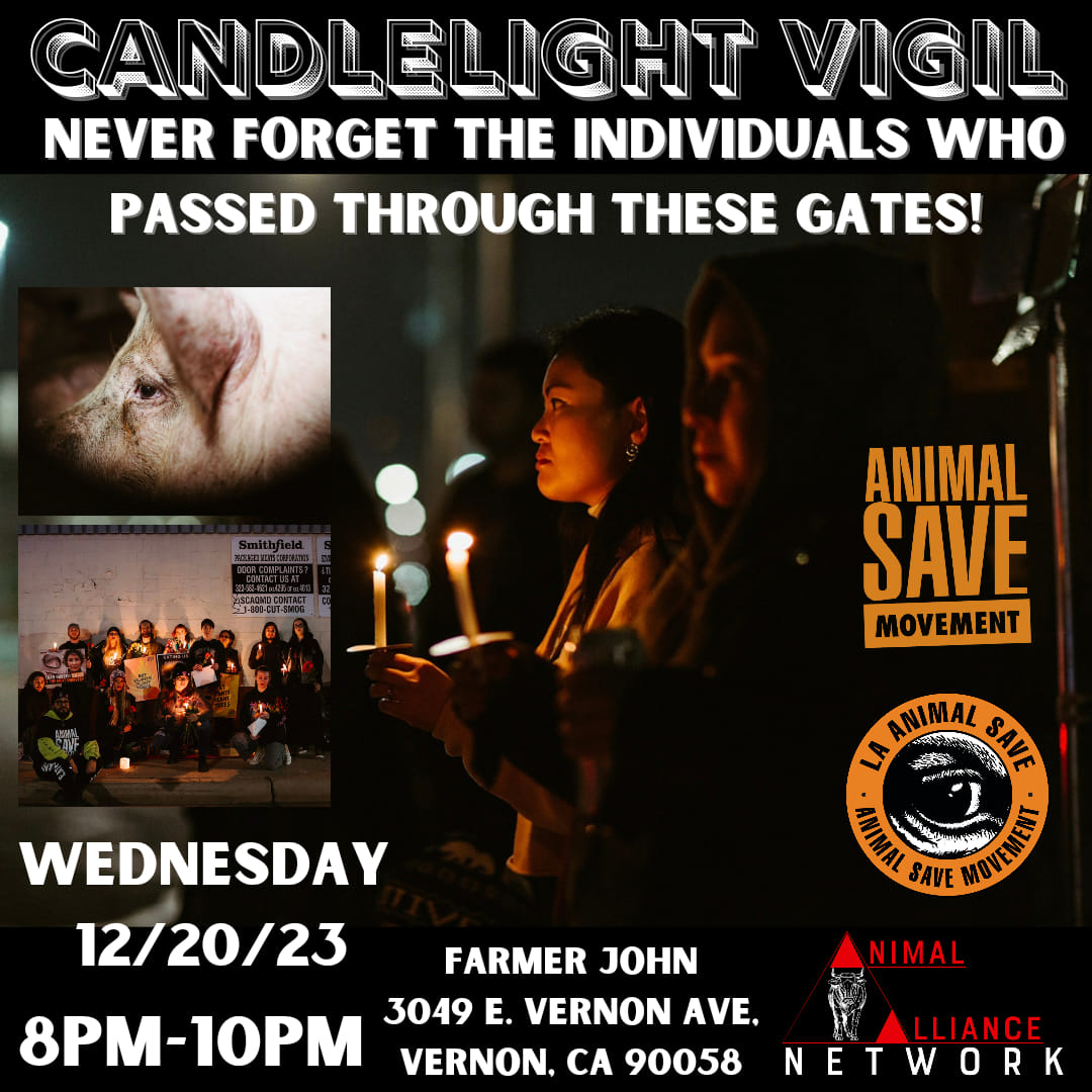 Animal Save Movement