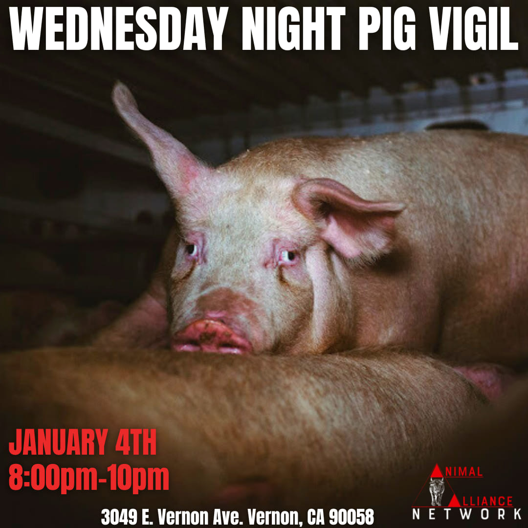 Animal Save Movement