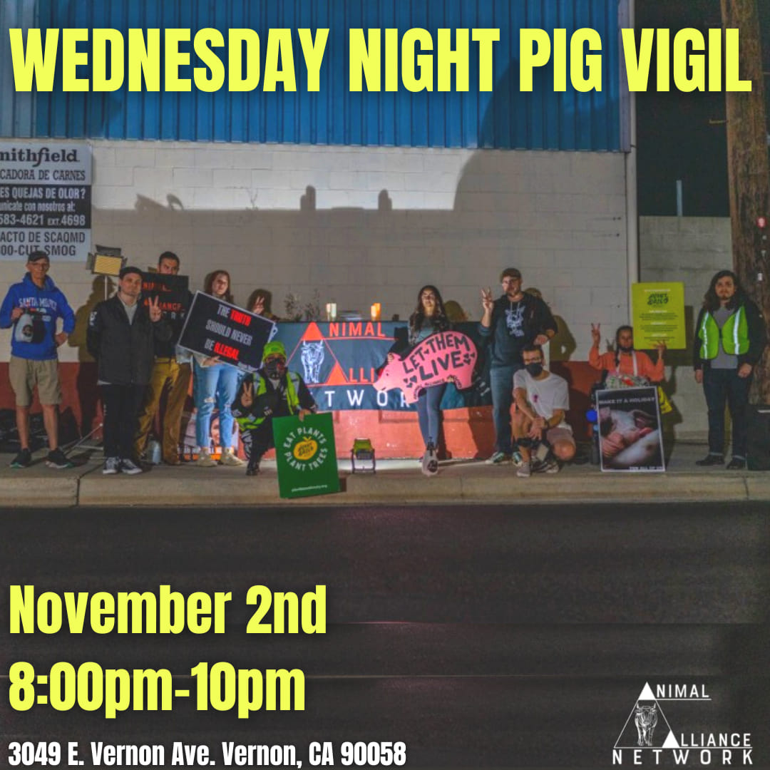 Animal Save Movement