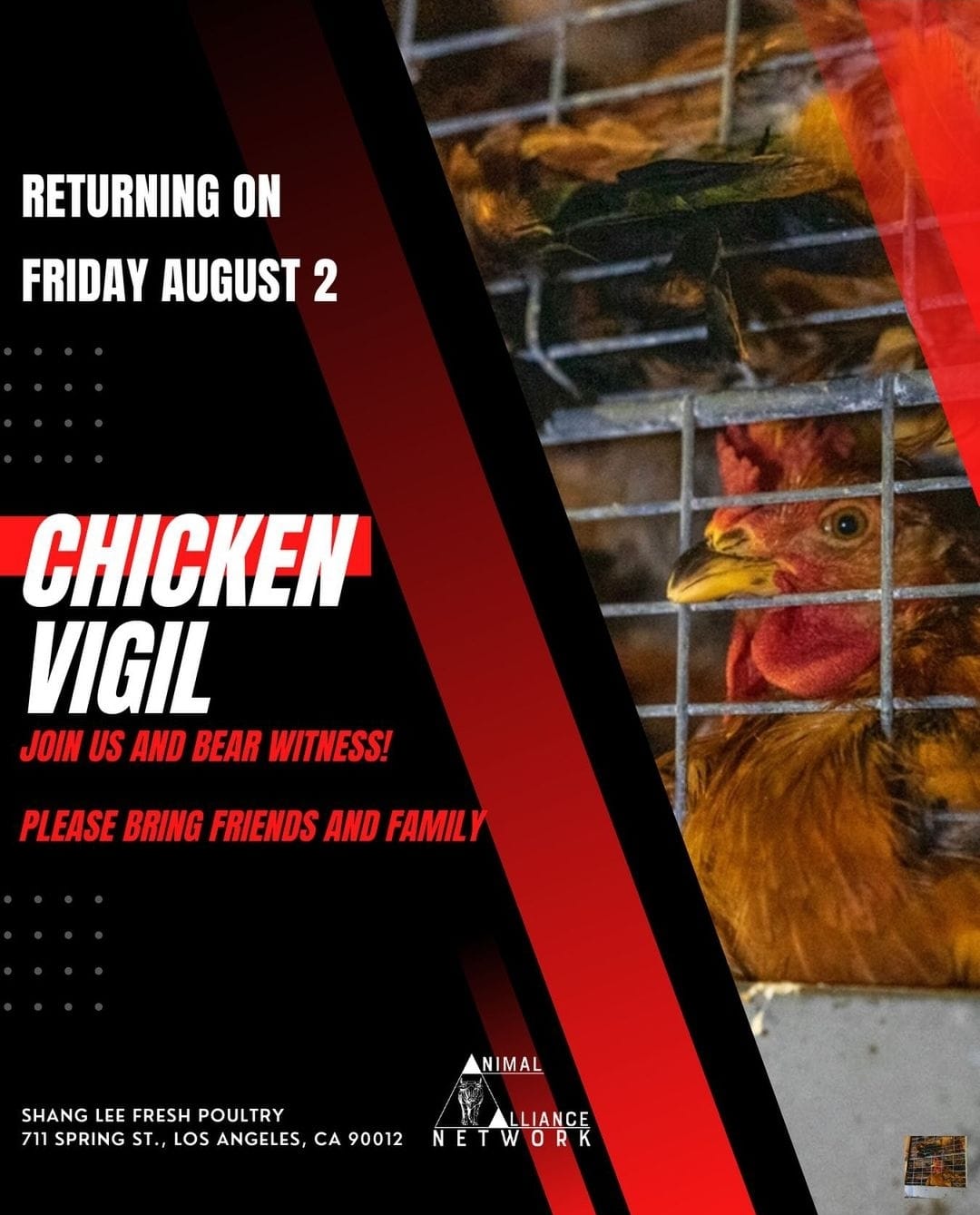 Animal Save Movement