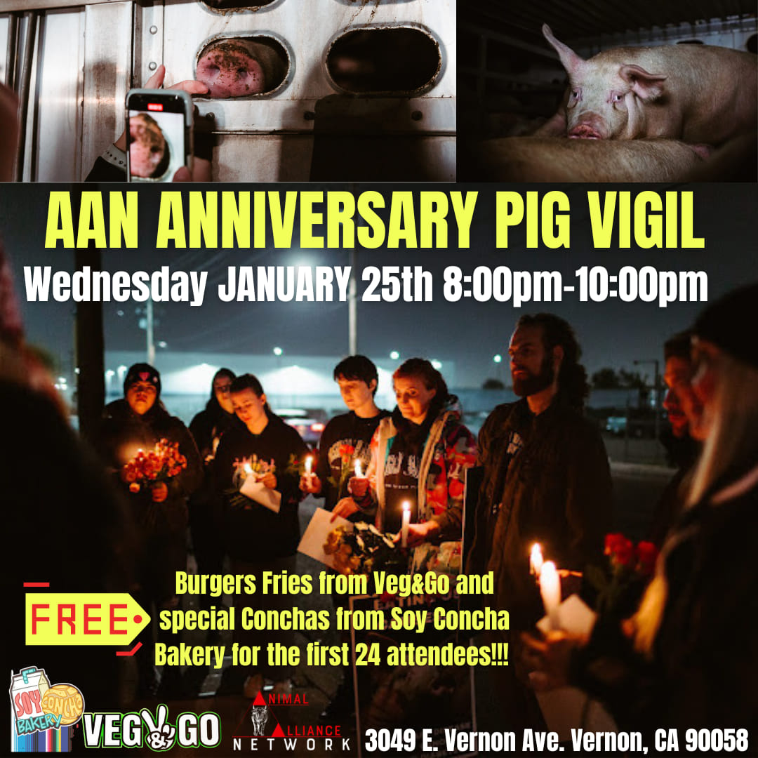 Animal Save Movement