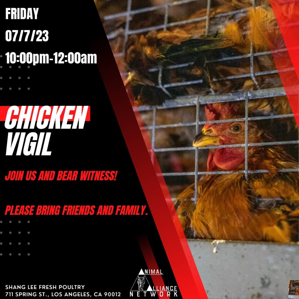 Animal Save Movement