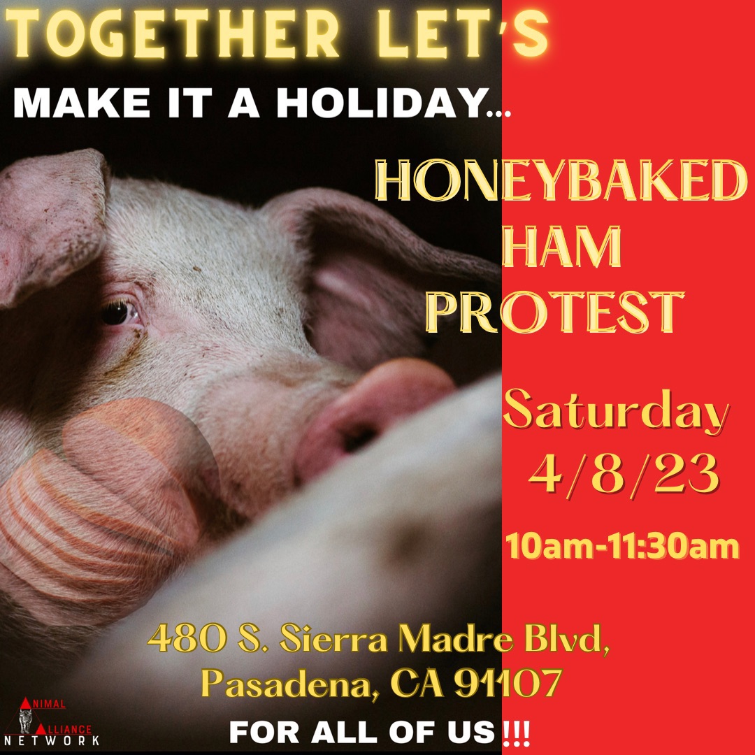 Animal Save Movement