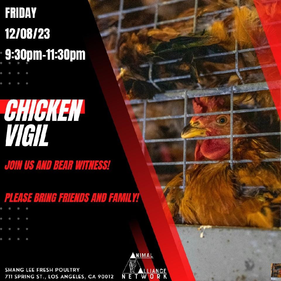 Animal Save Movement