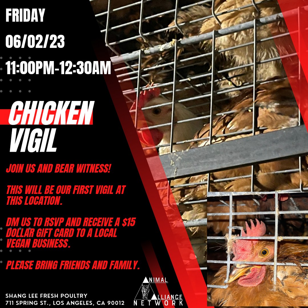 Animal Save Movement