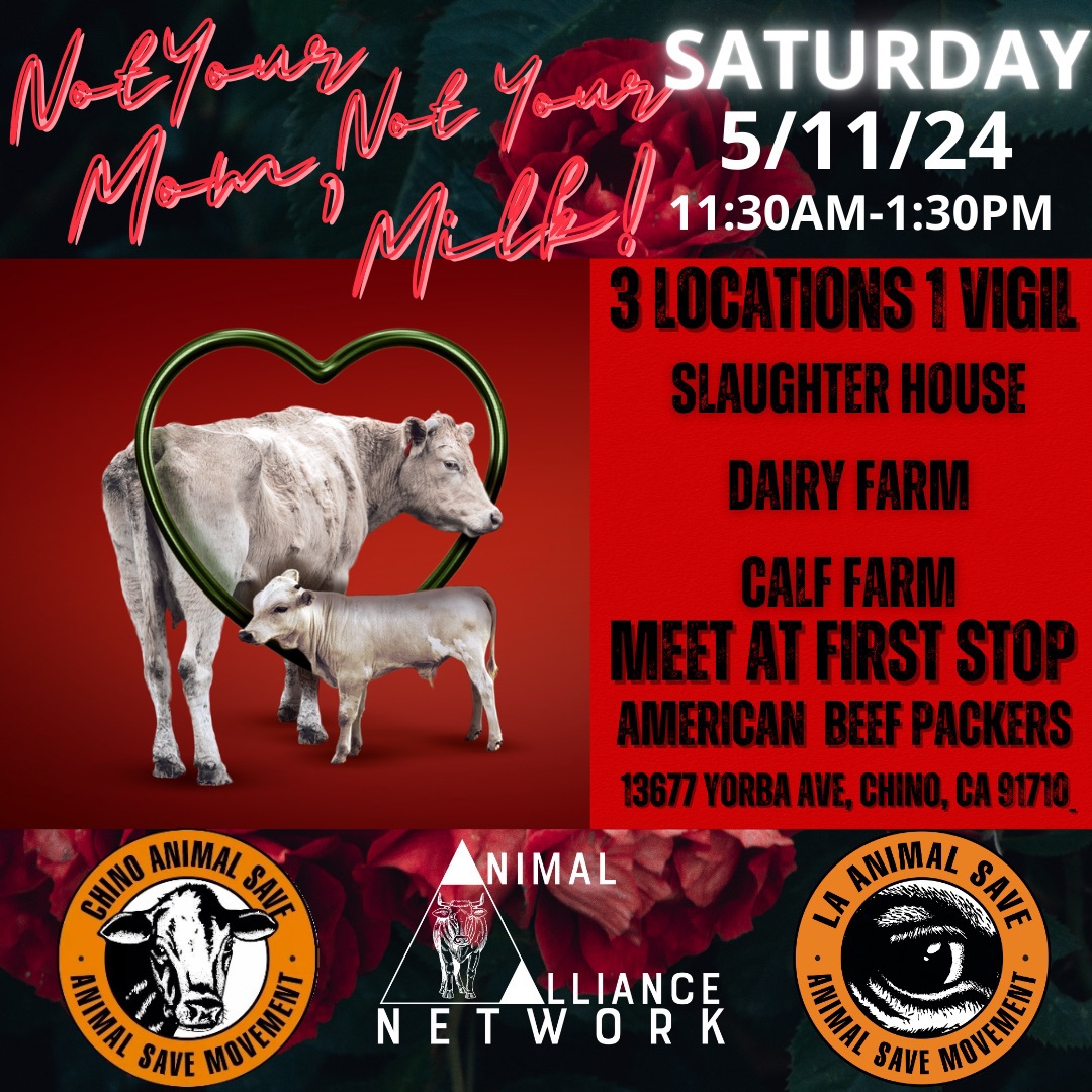 Animal Save Movement