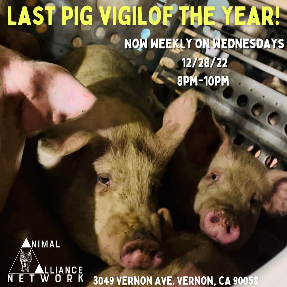 Animal Save Movement