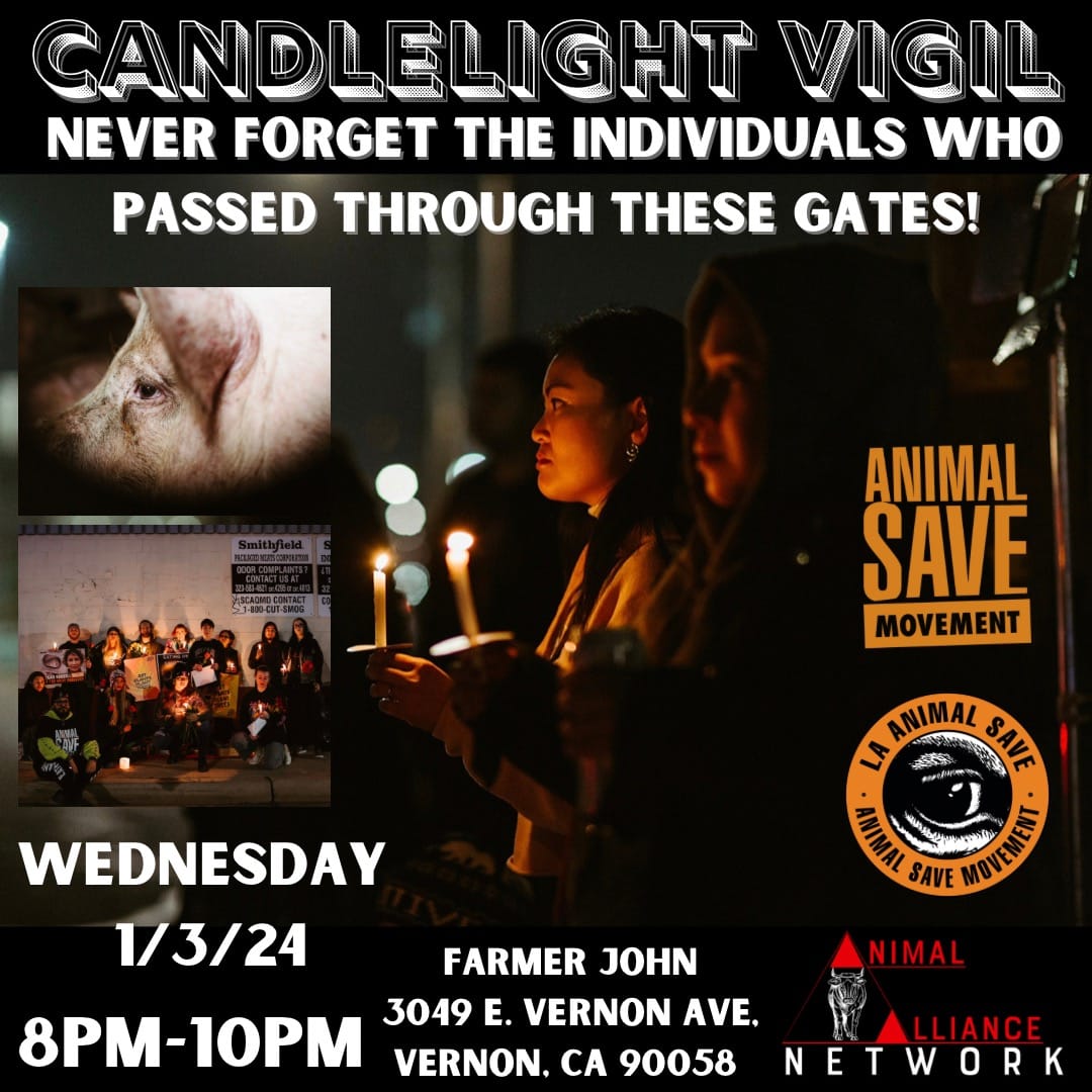 Animal Save Movement