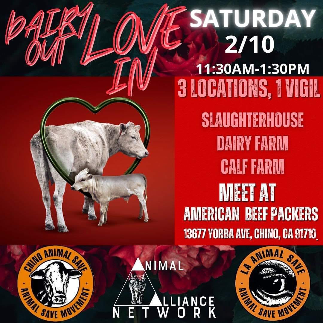 Animal Save Movement