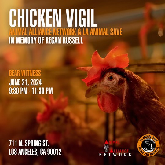 Animal Save Movement