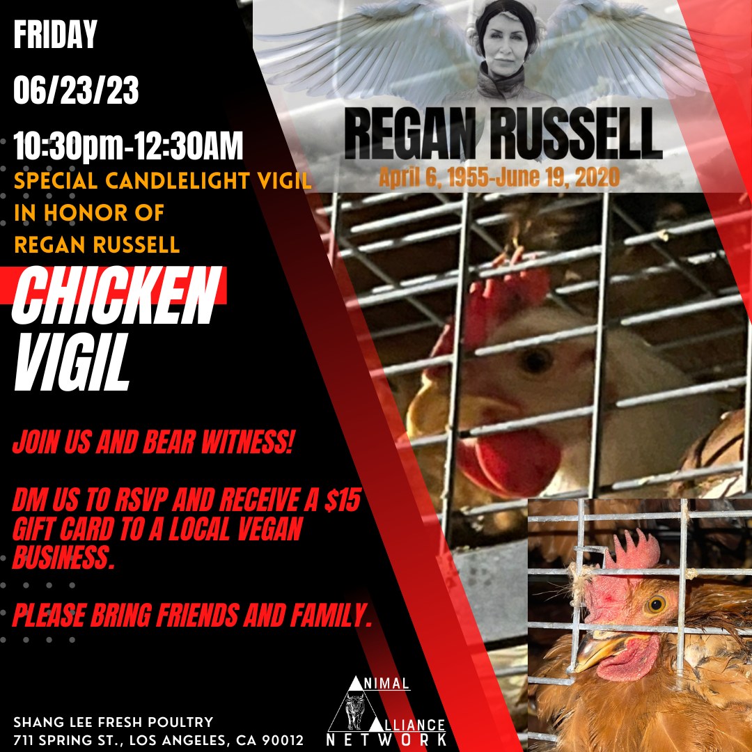 Animal Save Movement