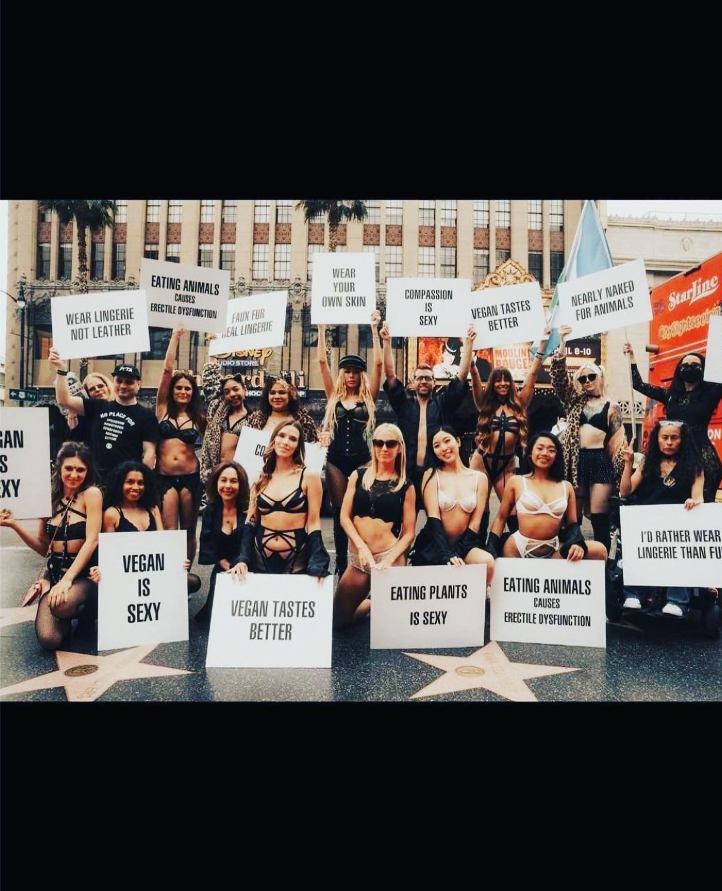 Animal Save Movement