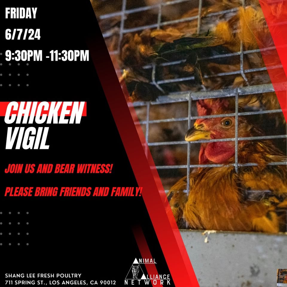 Animal Save Movement