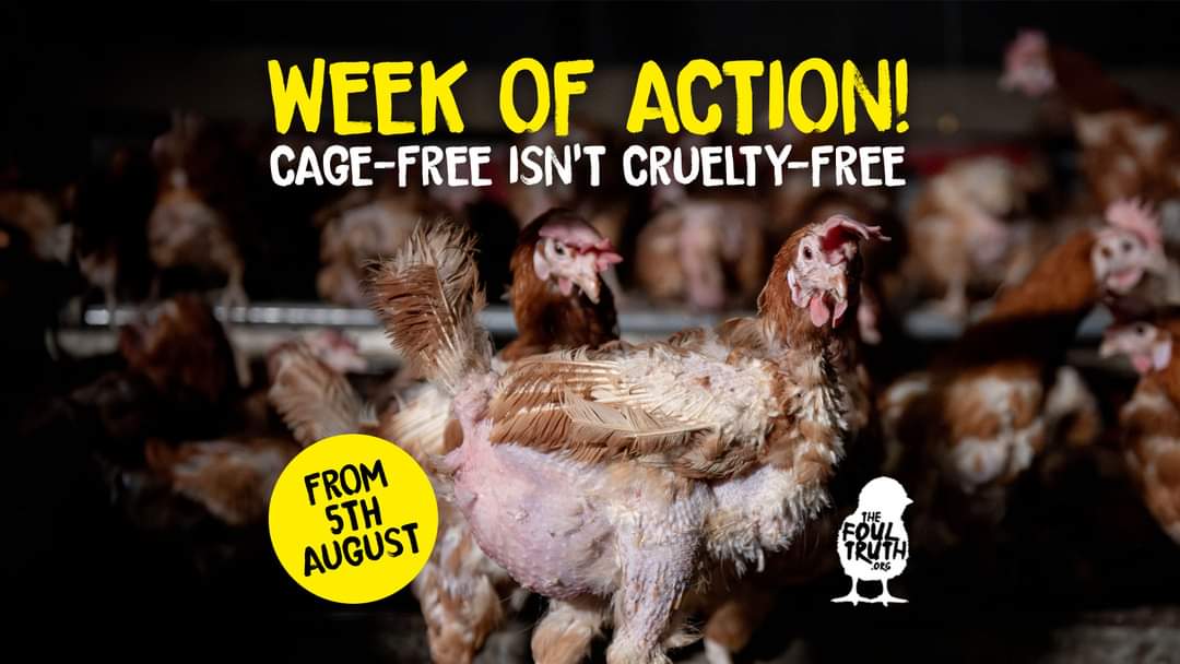 Vegan Action for Animals