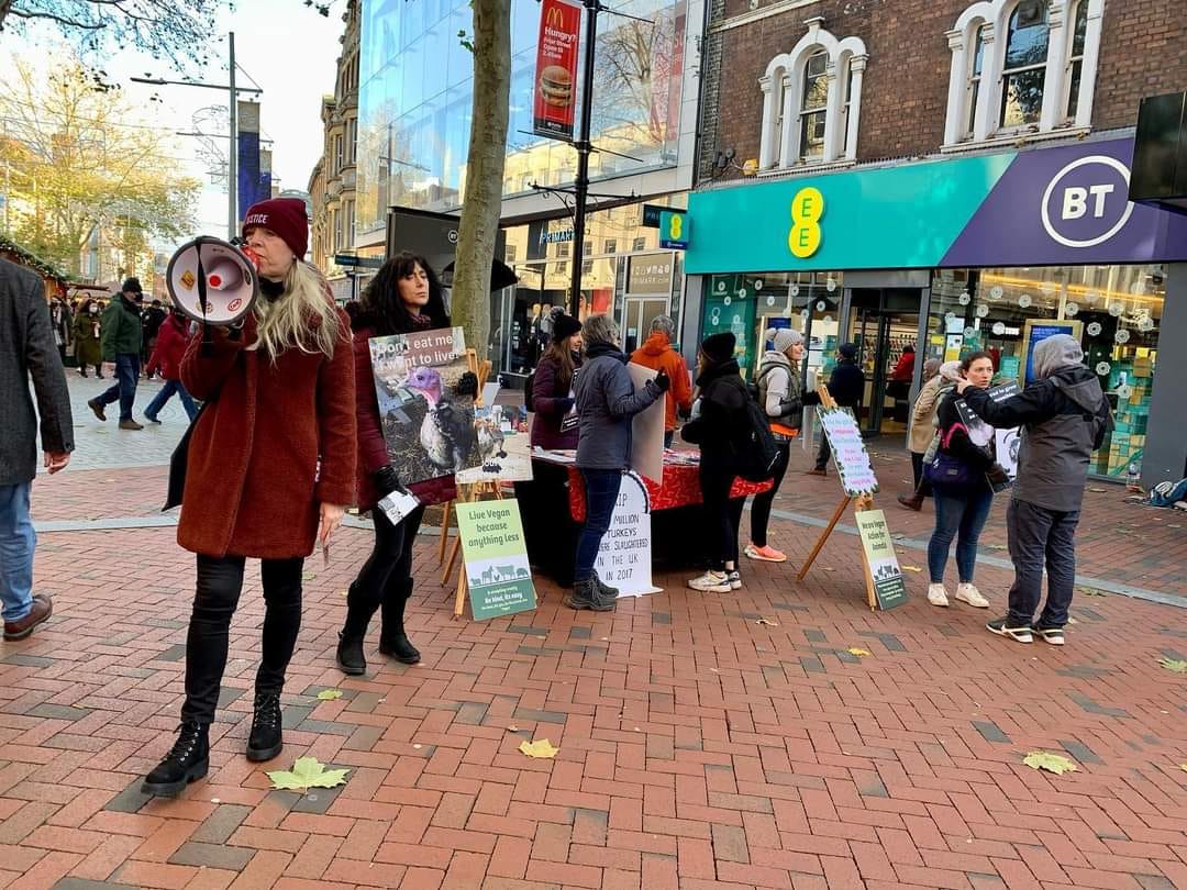 Vegan Action for Animals
