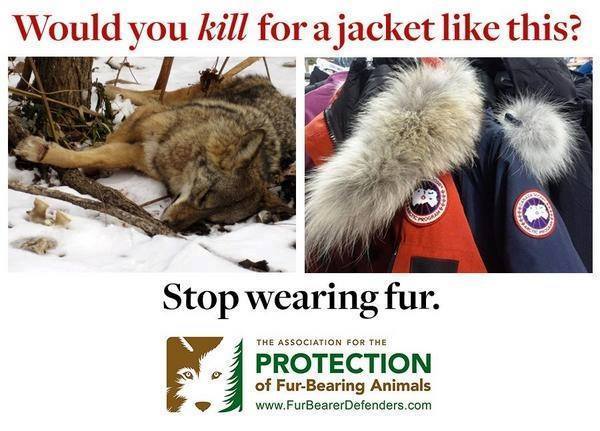 Vegan Action for Animals