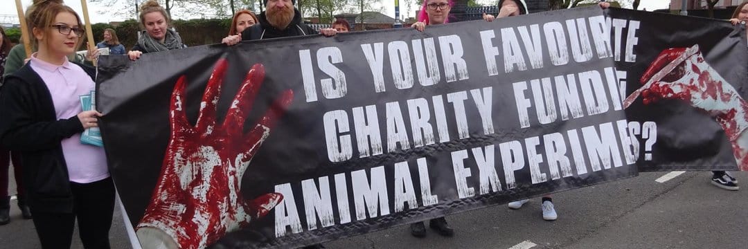 Vegan Action for Animals
