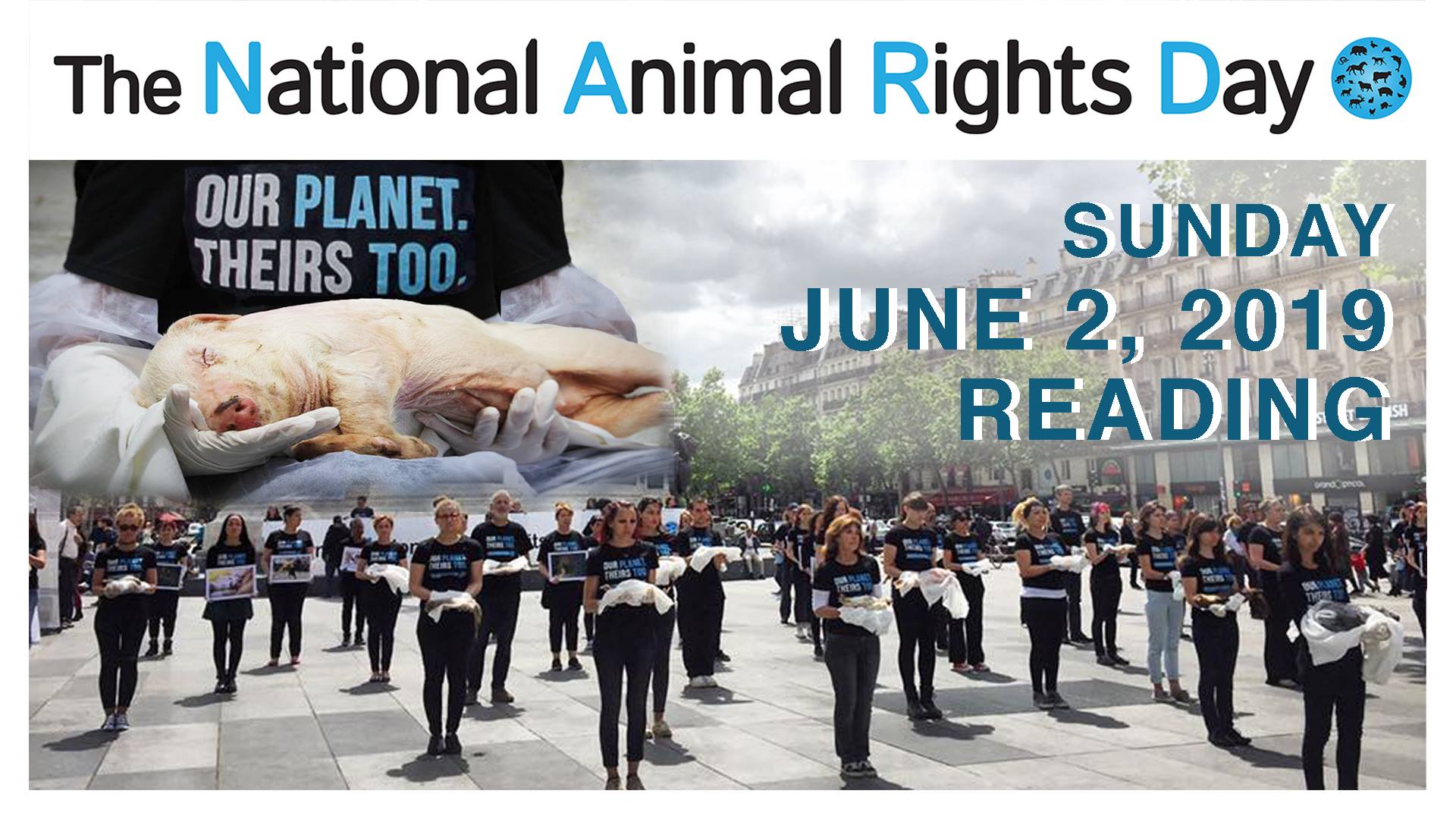 Vegan Action for Animals