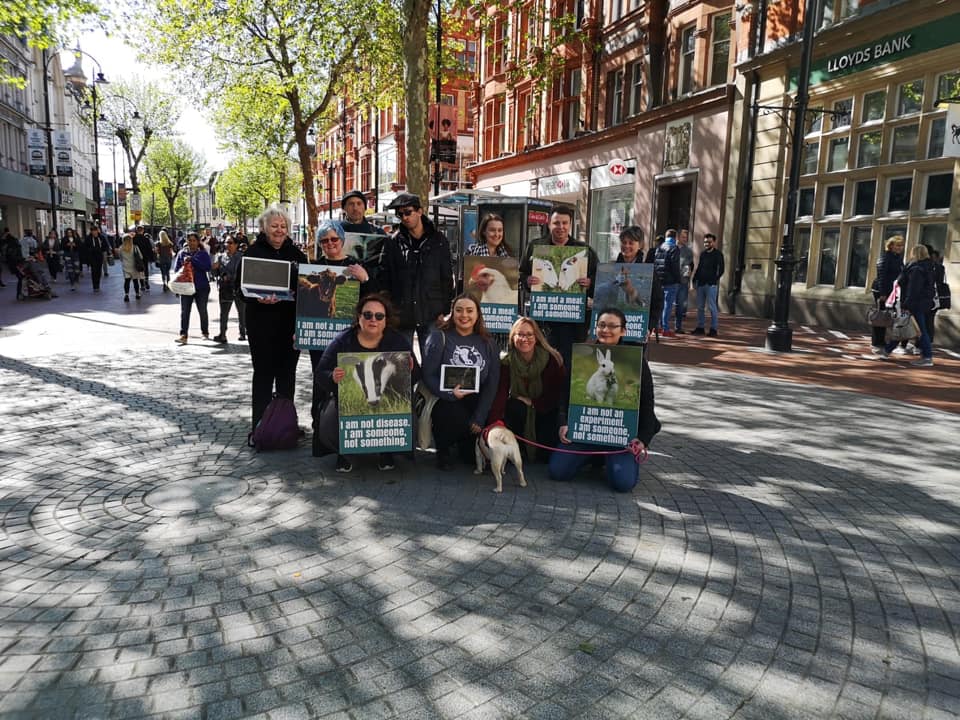 Vegan Action for Animals
