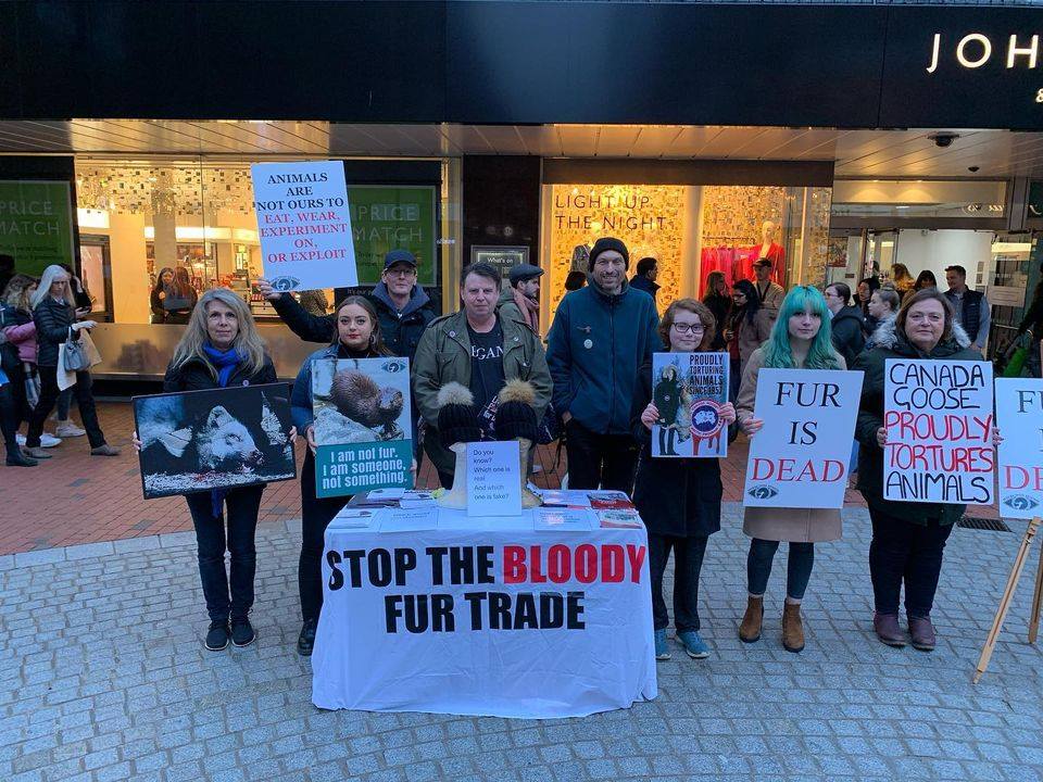 Vegan Action for Animals