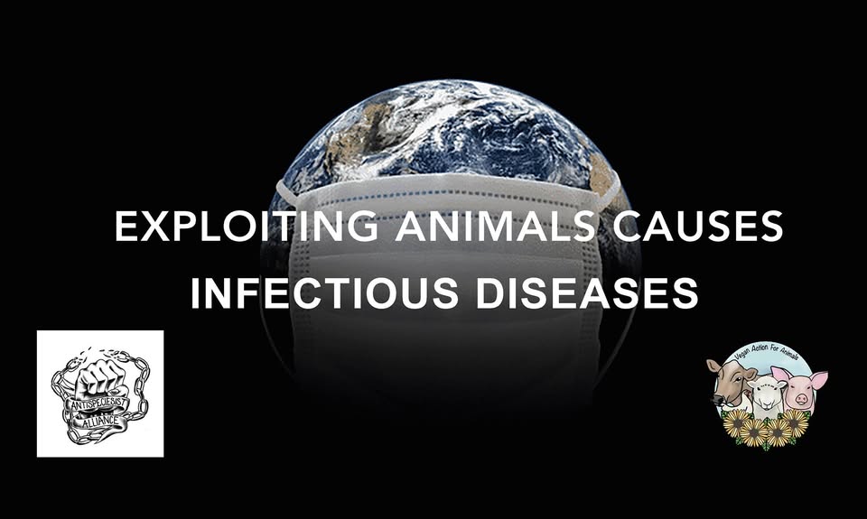 Vegan Action for Animals