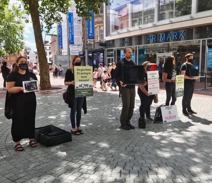 Vegan Action for Animals