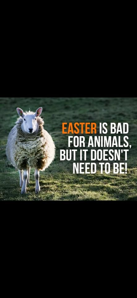 Vegan Action for Animals