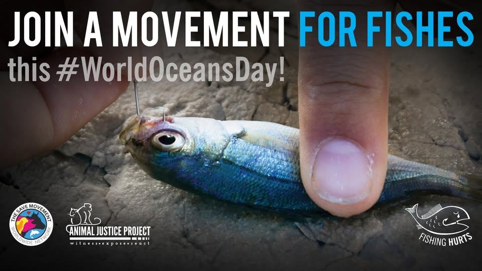 Animal Save Movement