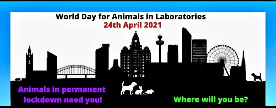 Vegan Action for Animals