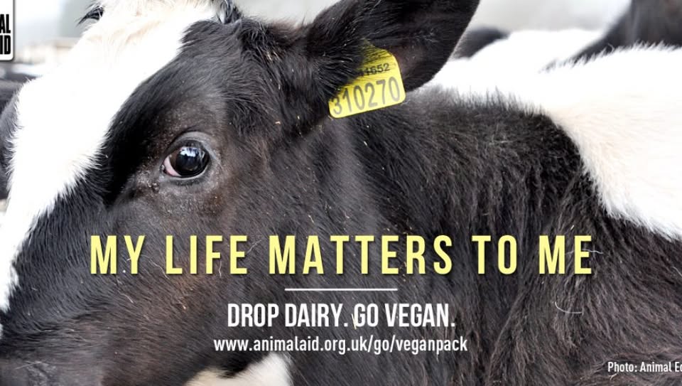 Vegan Action for Animals