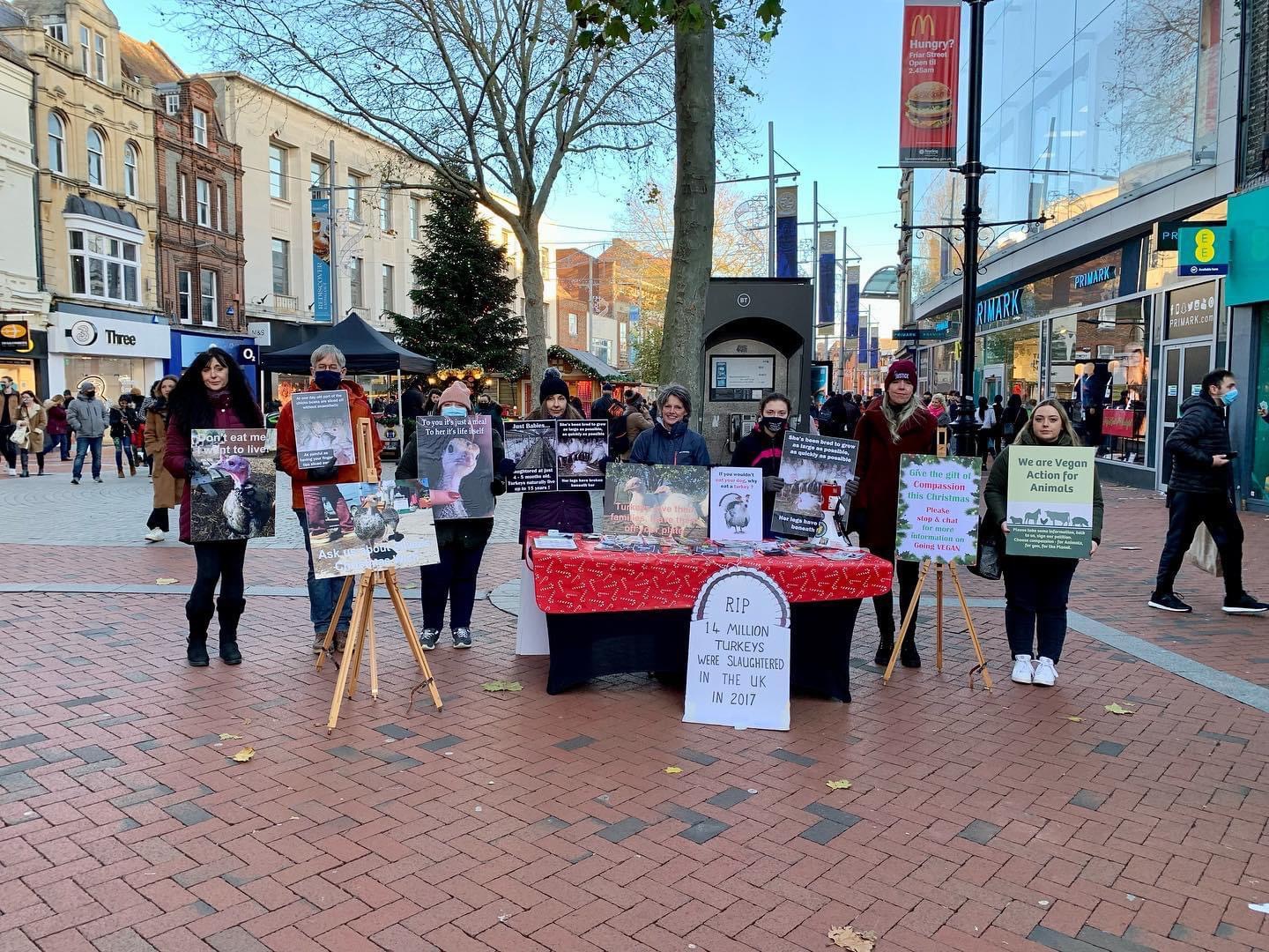 Vegan Action for Animals