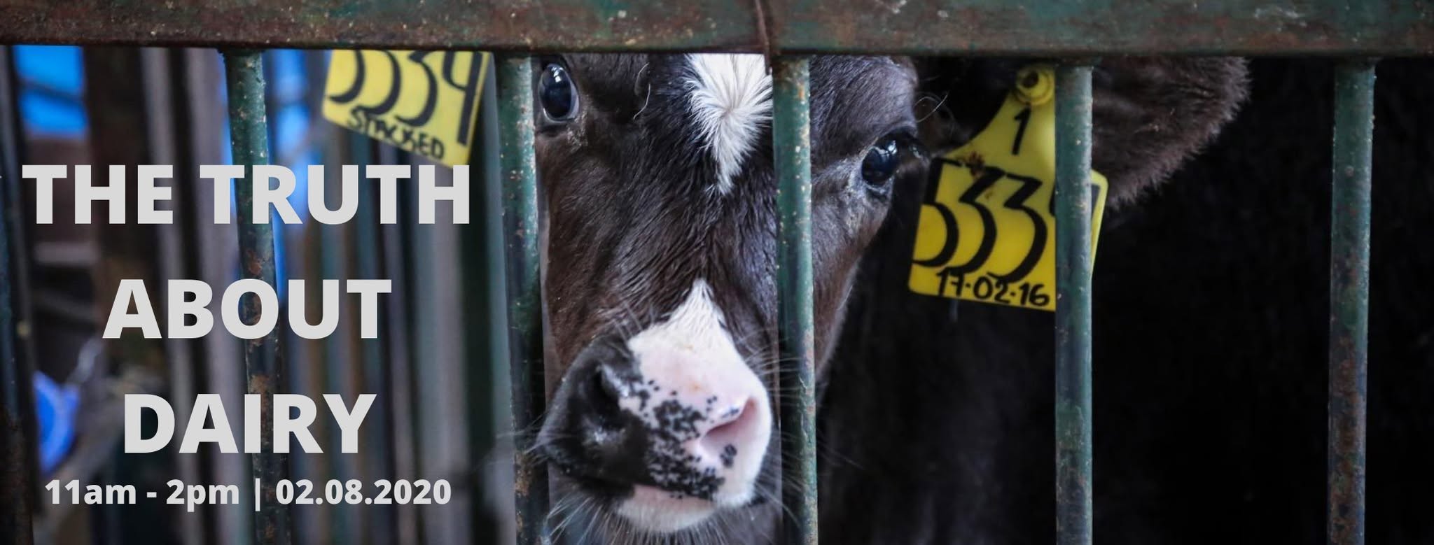 Vegan Action for Animals