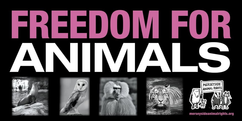 Team Tino Animal Rights - TTAR