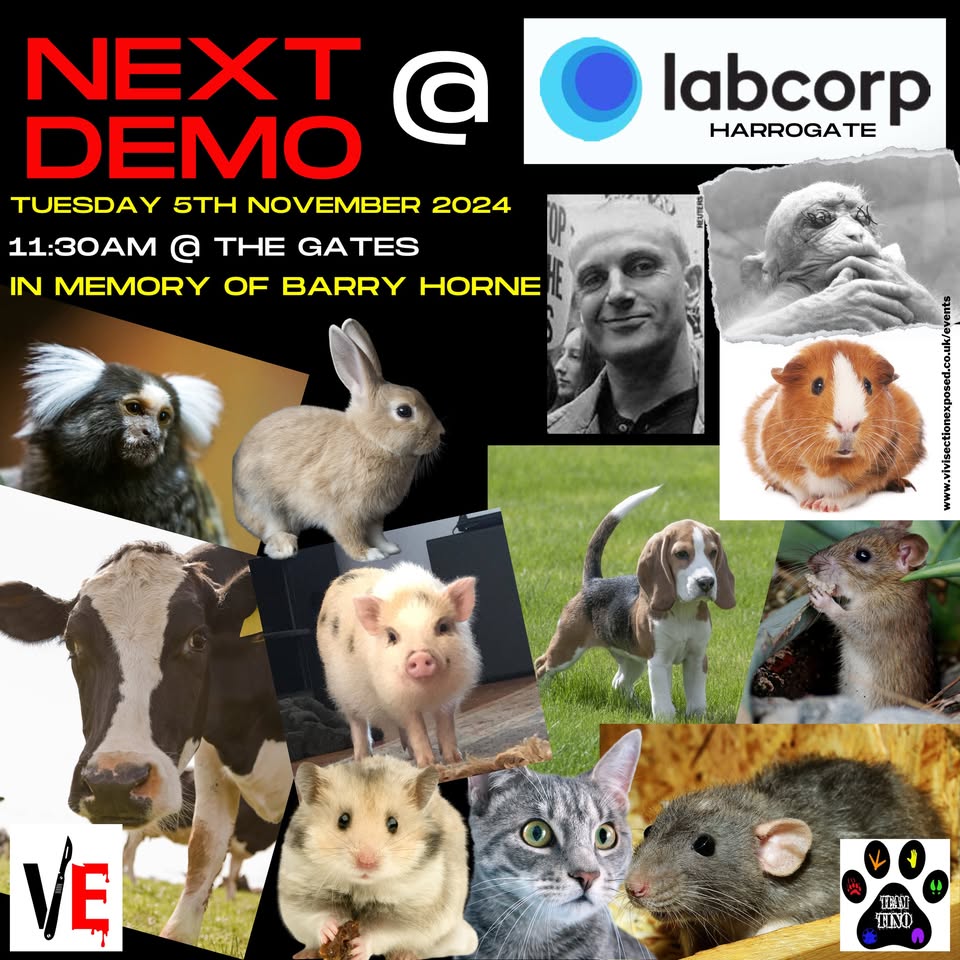 Vivisection Exposed