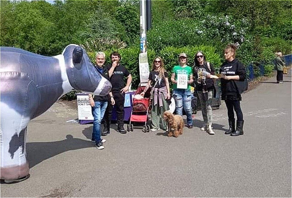 Team Tino Animal Rights - TTAR