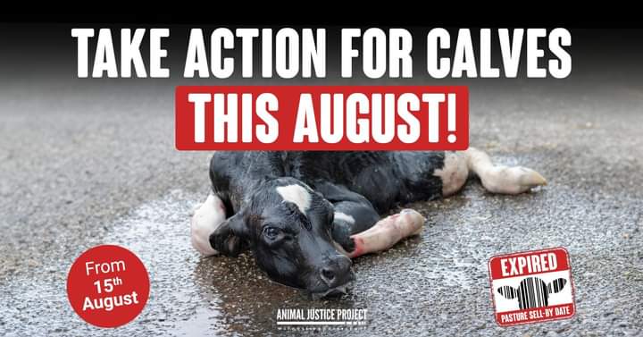 Cardiff Vegan Action