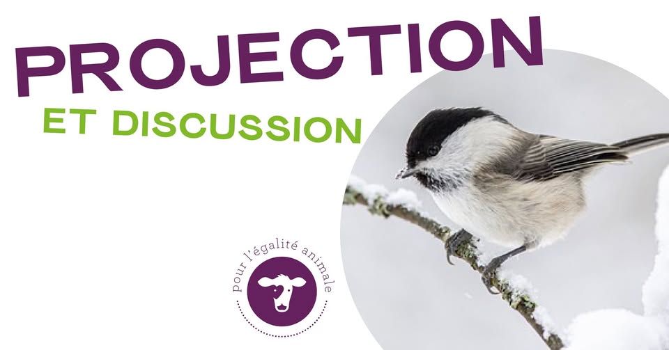 LSCV-Ligue suisse contre l'expérimentation animale