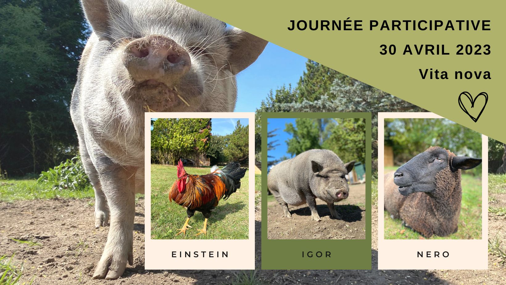 LSCV-Ligue suisse contre l'expérimentation animale