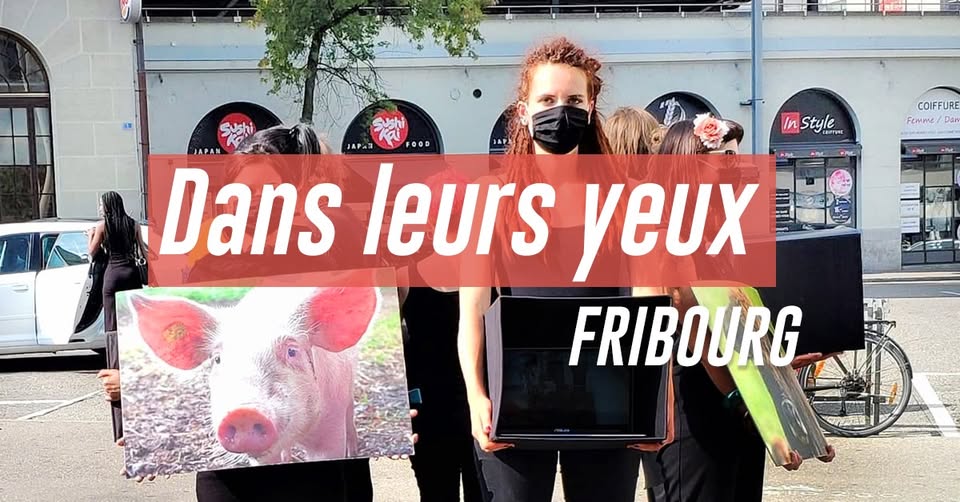 LSCV-Ligue suisse contre l'expérimentation animale