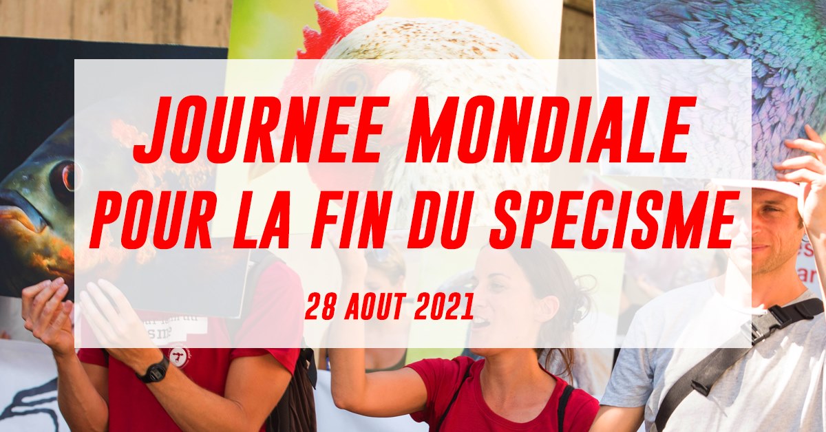 LSCV-Ligue suisse contre l'expérimentation animale