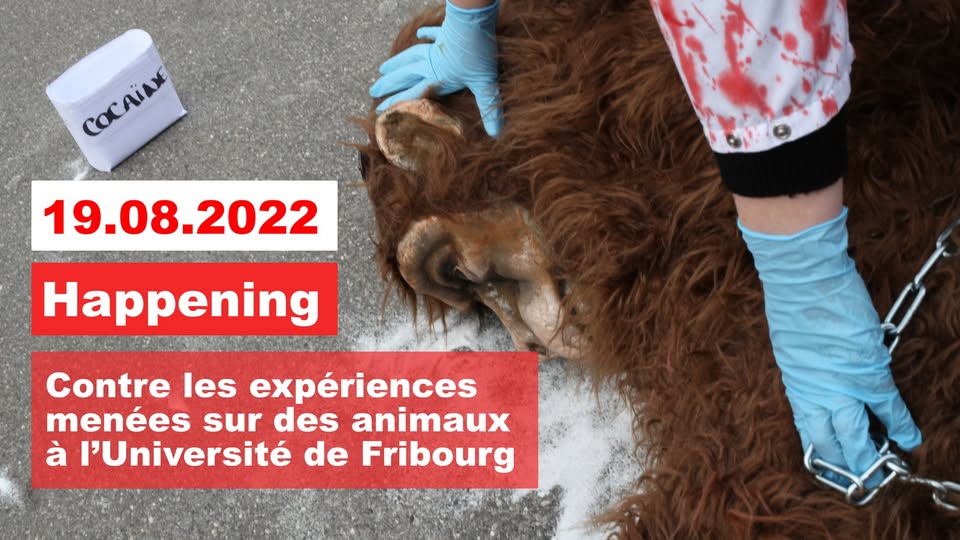 LSCV-Ligue suisse contre l'expérimentation animale