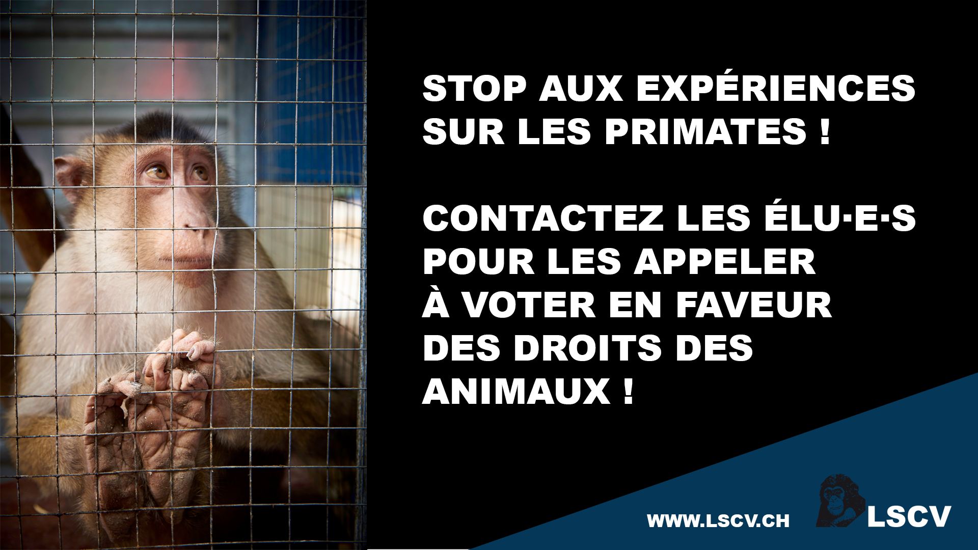 LSCV-Ligue suisse contre l'expérimentation animale
