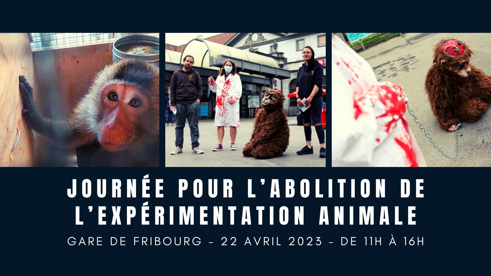 LSCV-Ligue suisse contre l'expérimentation animale