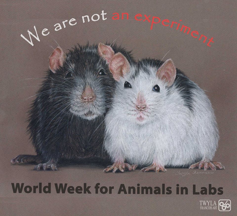 ADAV Society/STOP UBC Animal Research