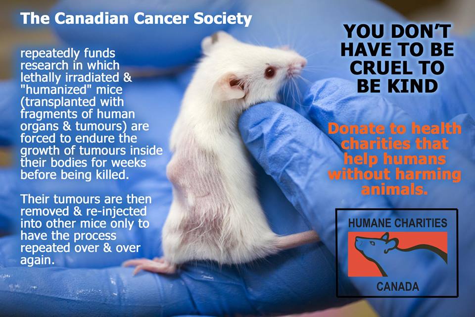 ADAV Society/STOP UBC Animal Research