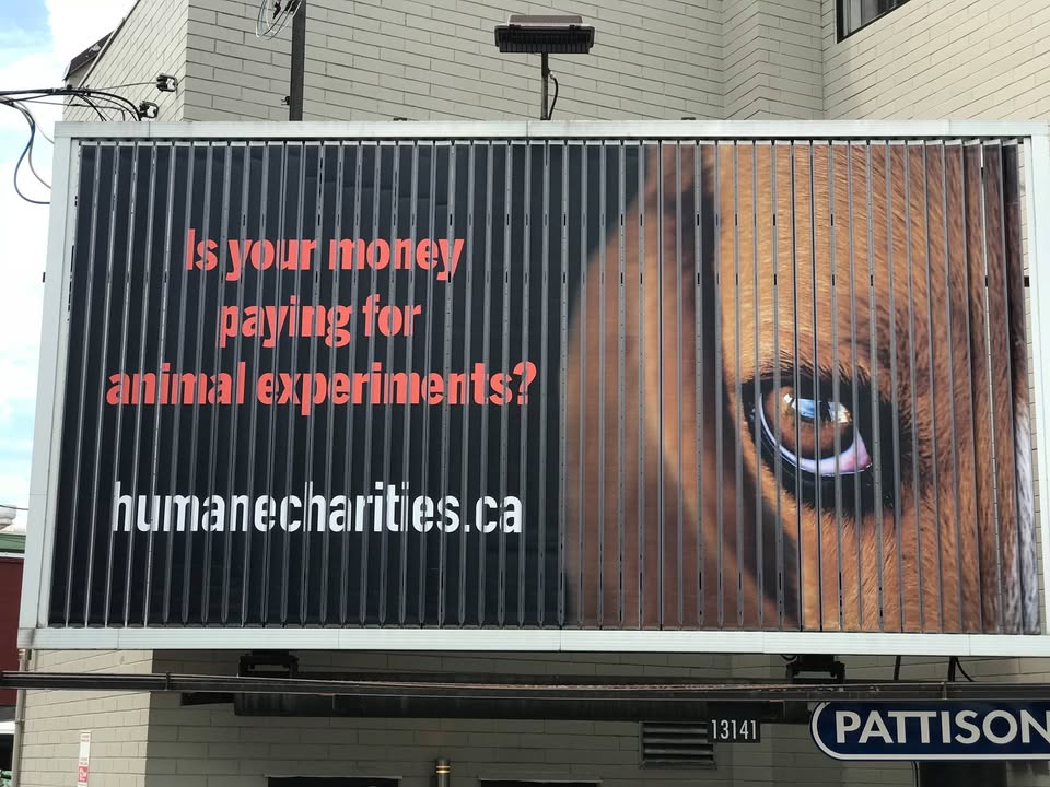 ADAV Society/STOP UBC Animal Research
