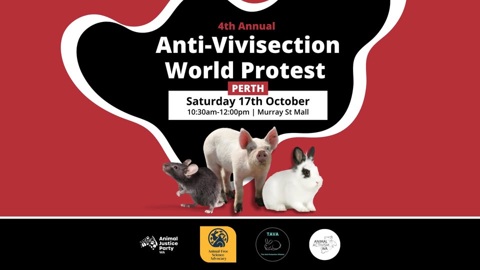 The Anti-Vivisection Alliance - TAVA