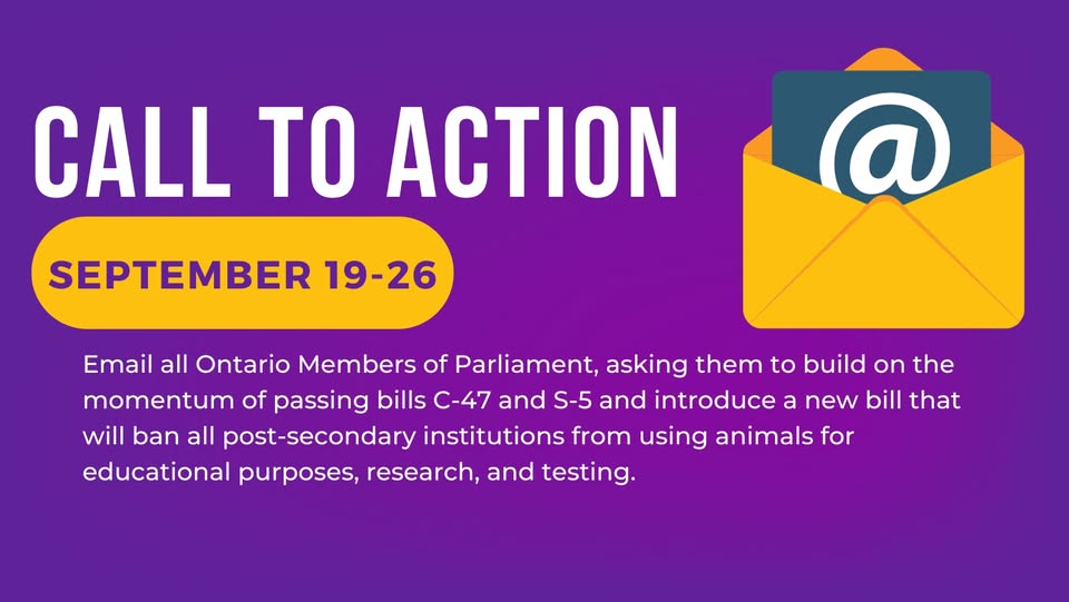 The Anti-Vivisection Alliance - TAVA